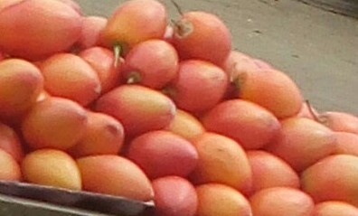 Tomate de arbol