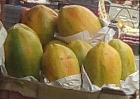 Papaya