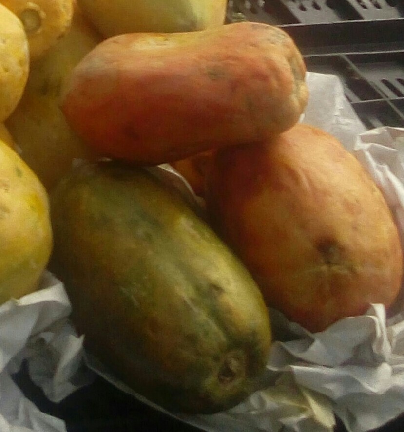 Papaya