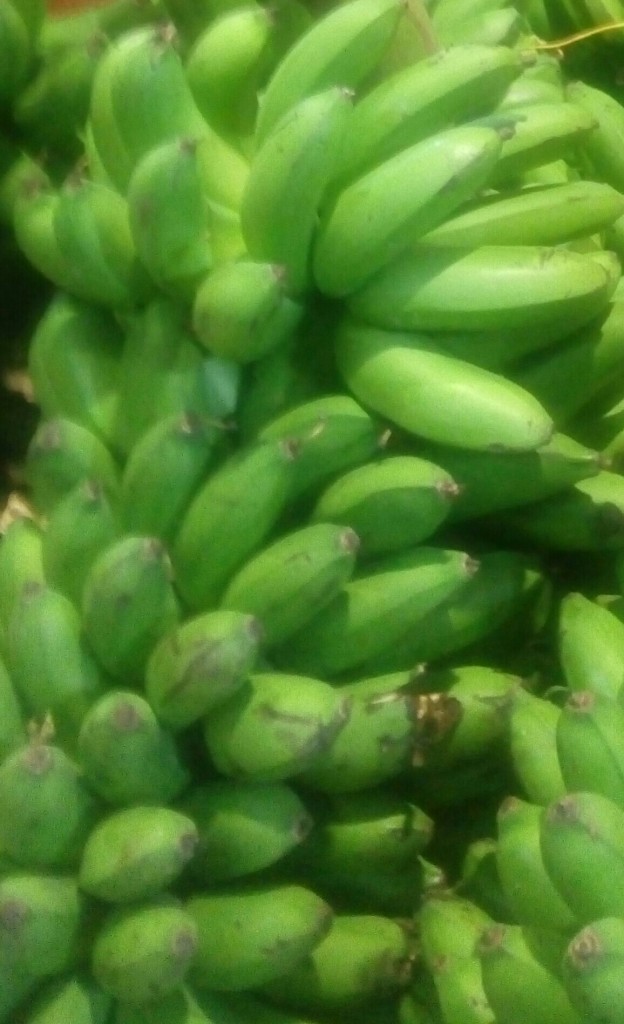 Colicero