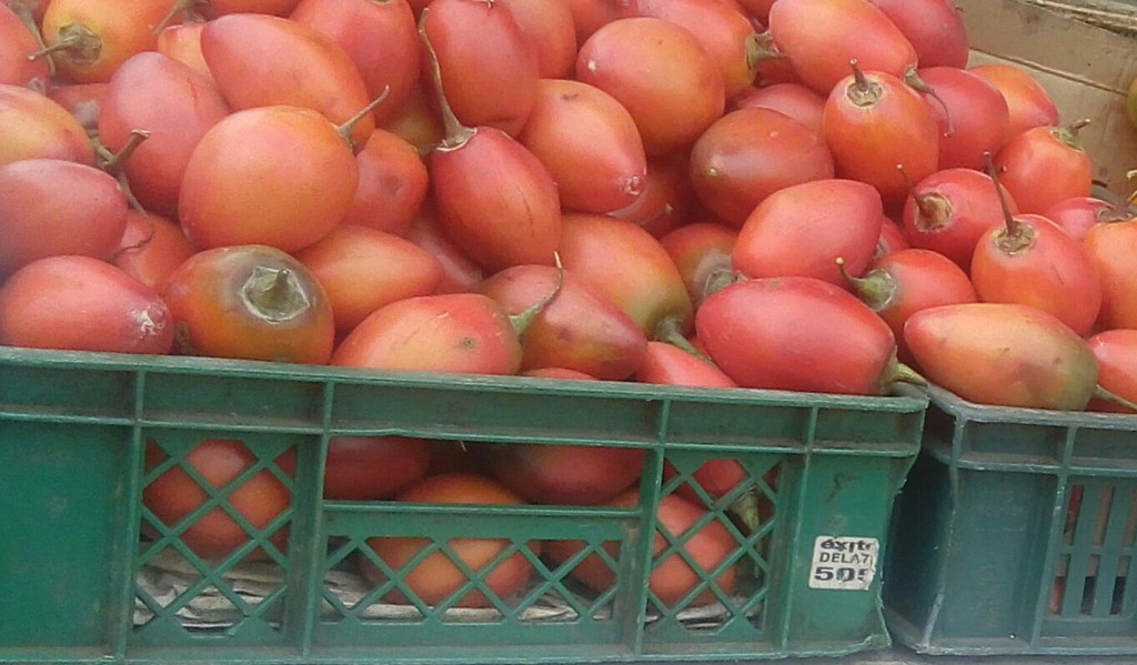 Tomate de arbol