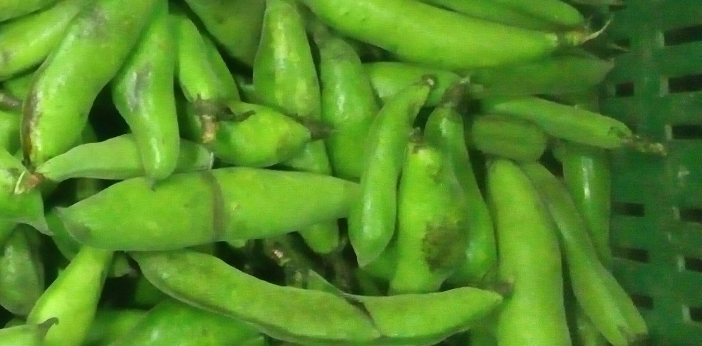 Habas en cascara