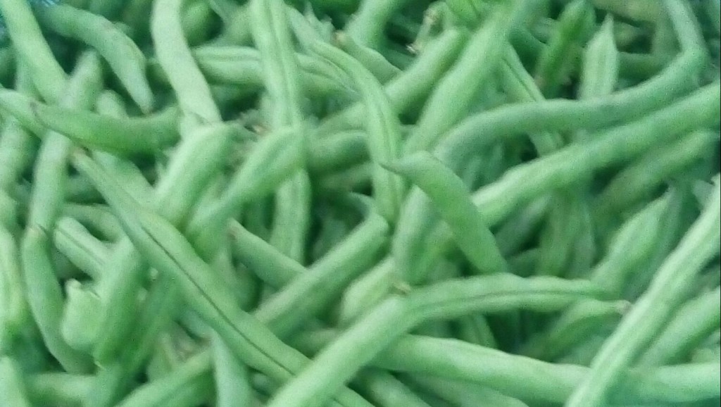 Habichuelas