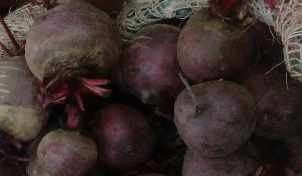 Remolacha