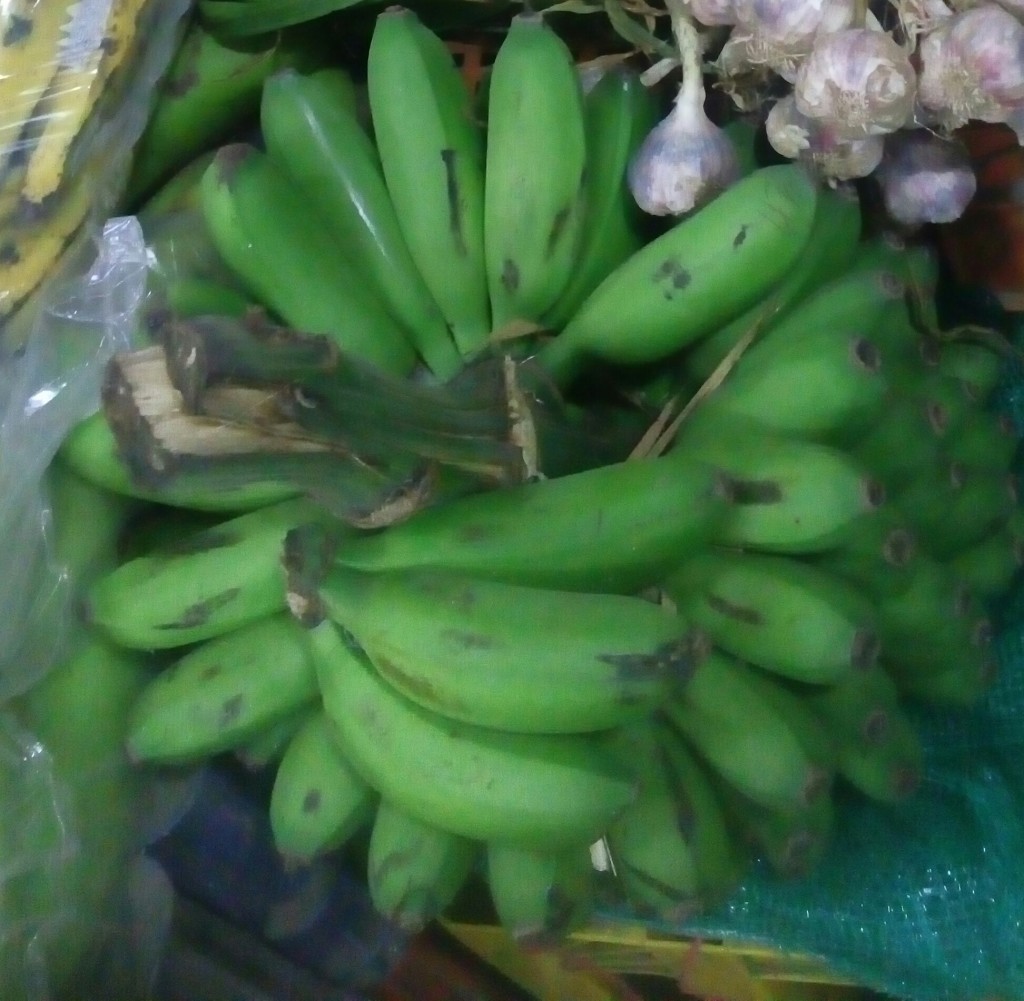 Colicero
