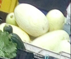 Calabaza Blanca