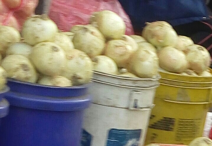 Cebolla cabezona