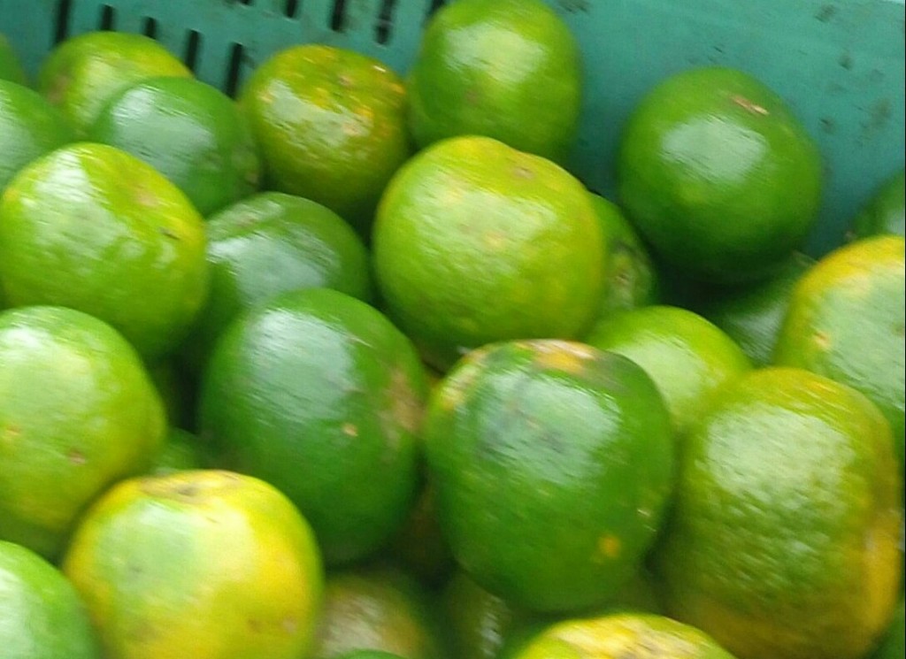 Naranja Valencia