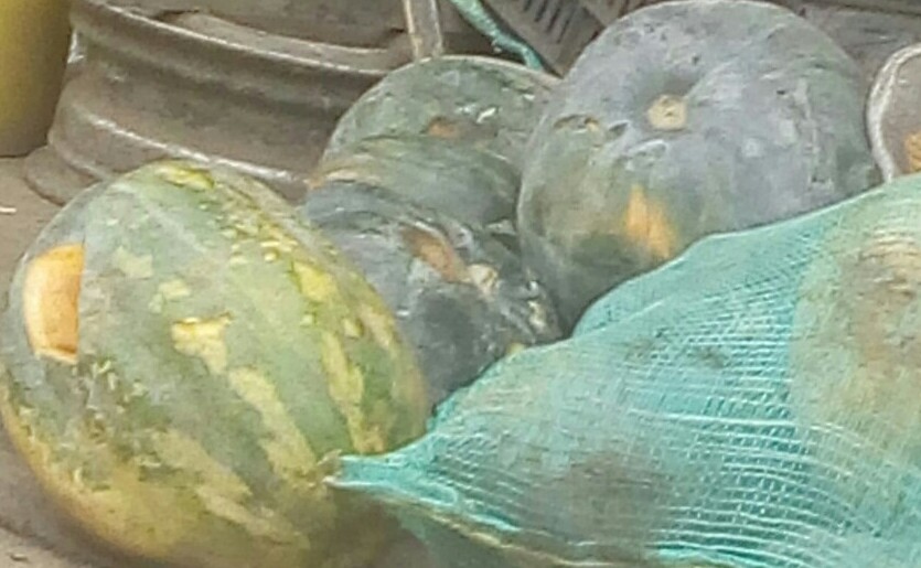 Ahuyama