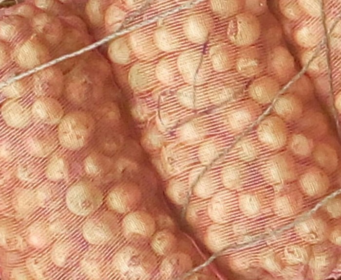 Cebolla cabezona