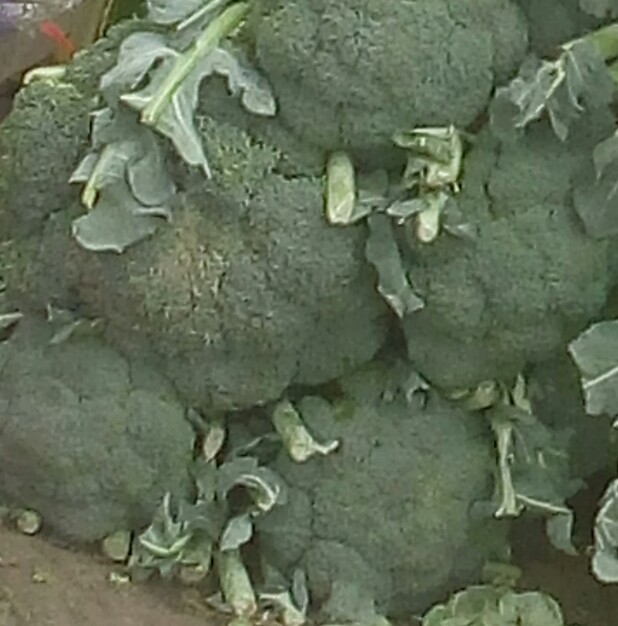 Brocoli