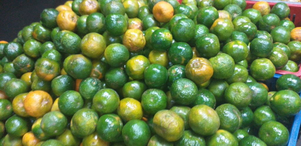Mandarina oneco 2da