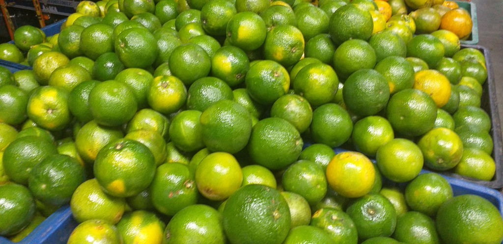 Naranja valencia