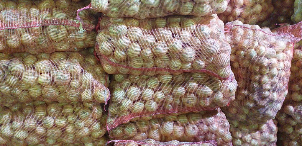 Cebolla de huevo blanca/50kg