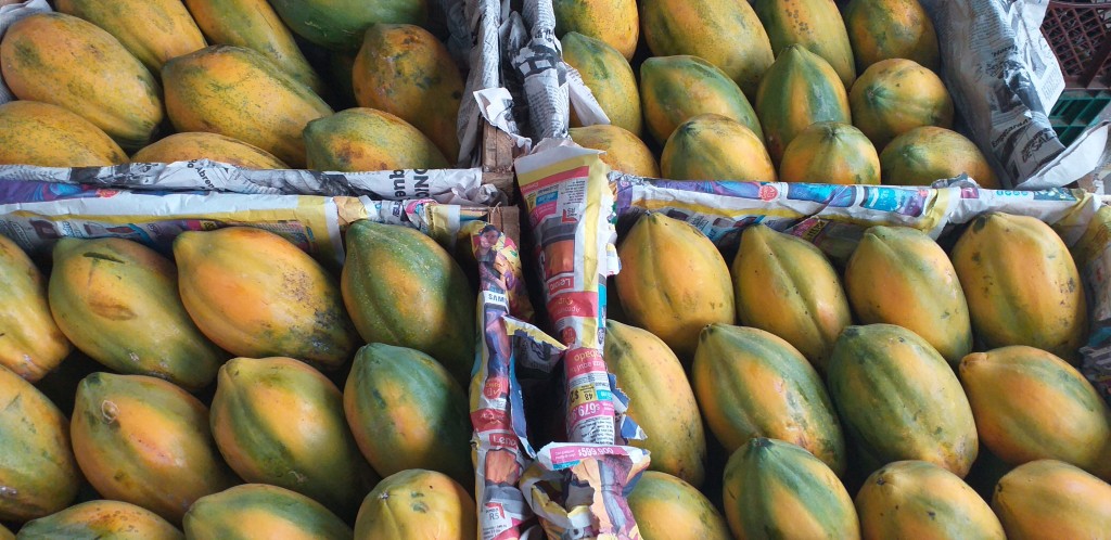 Papaya costeña/25kg