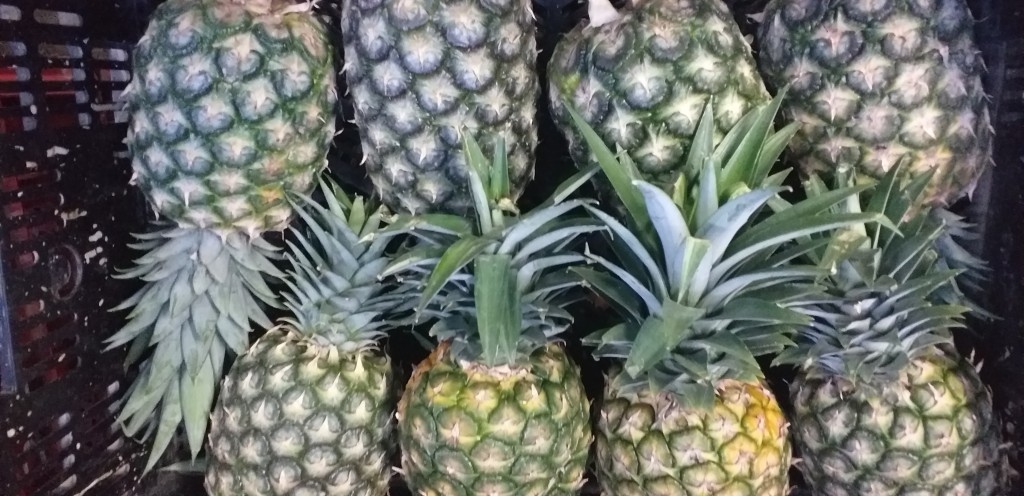 Piña oromiel