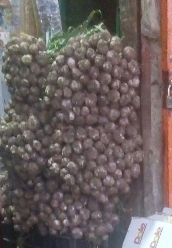 Ajo en rama