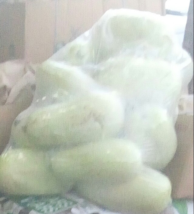 Calabaza Blanca