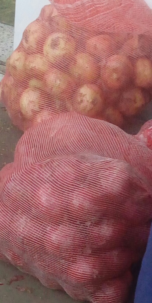 Cebolla cabezona