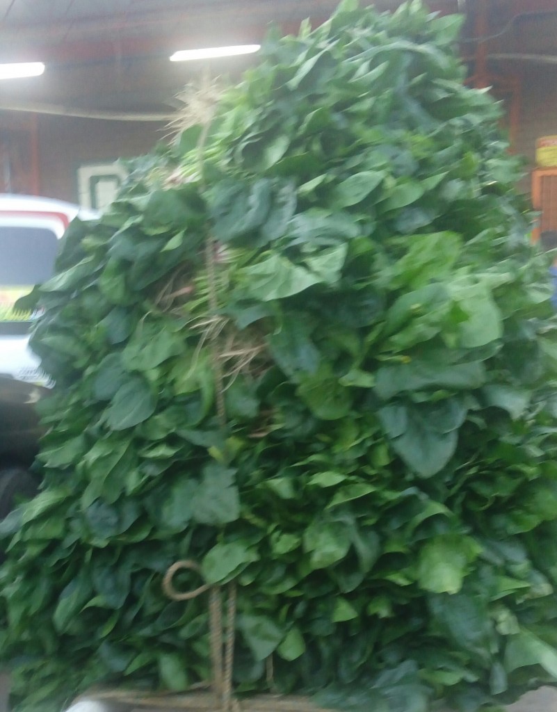 Espinacas