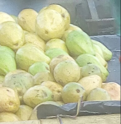 Guayaba