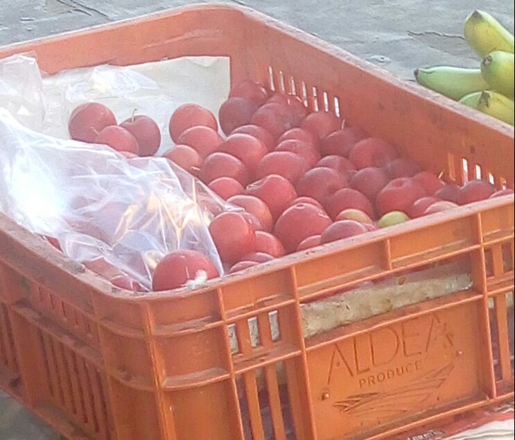 Ciruela roja