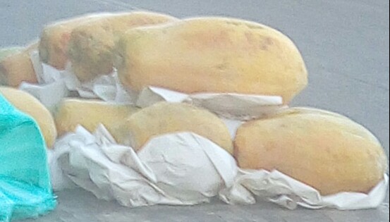 Papaya