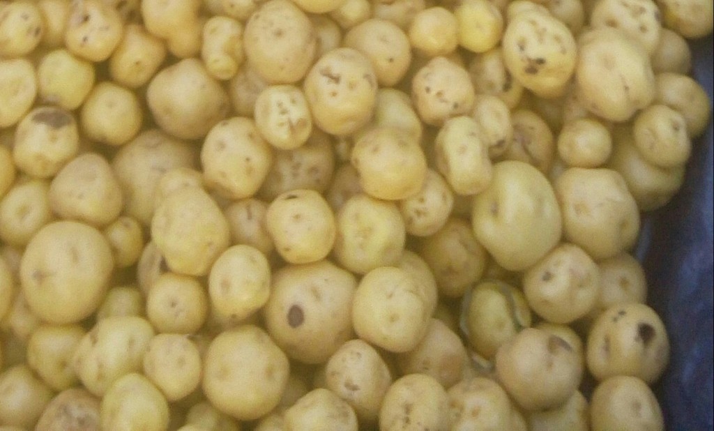 Papa criolla