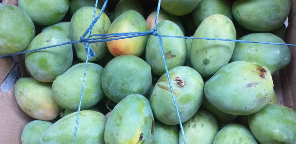 Mango filipino