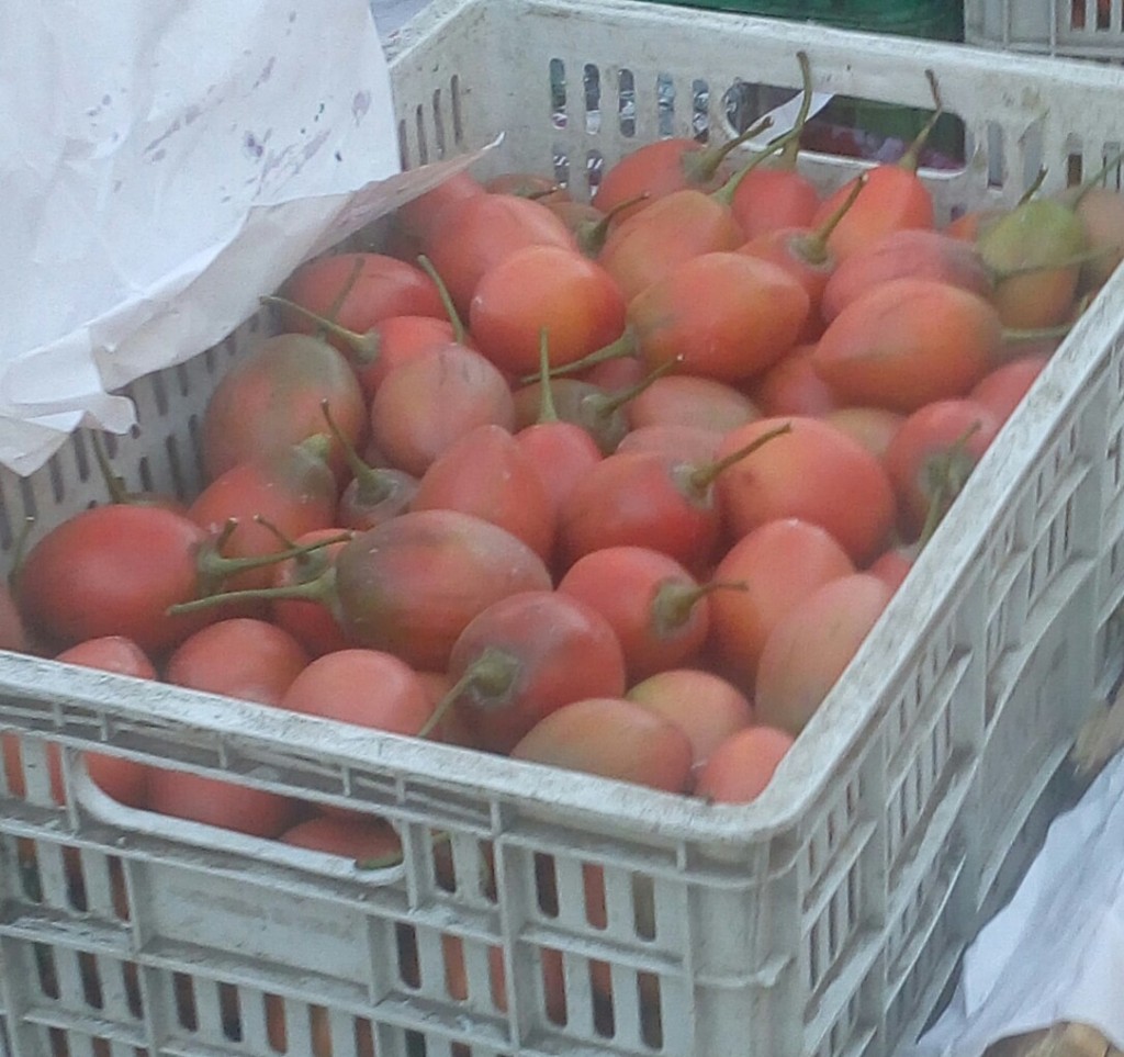 Tomate de arbol