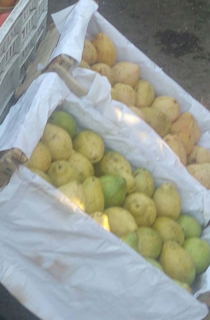 Guayaba pera