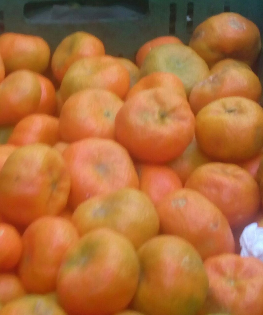 Mandarina