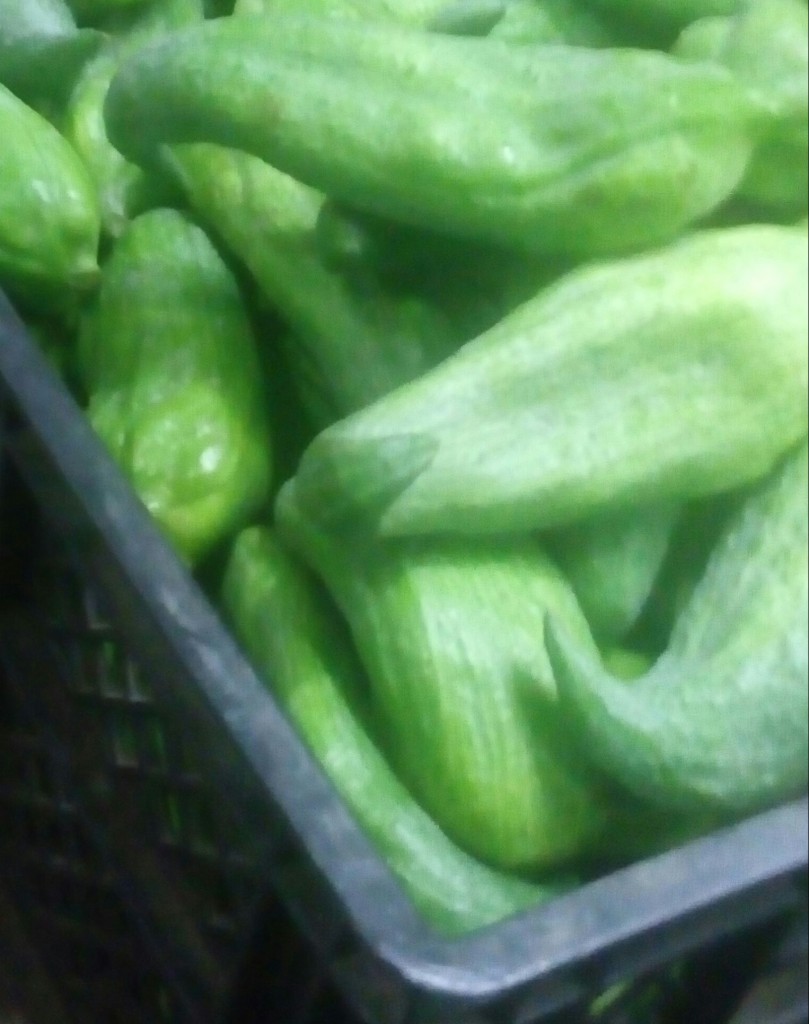 Pepino para guiso