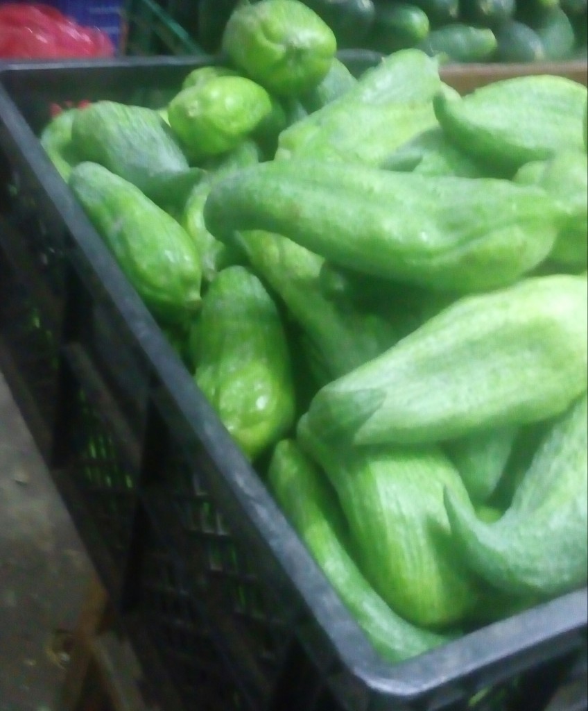 Pepino para guiso