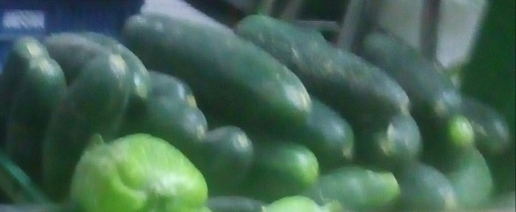 Pepino cohombro