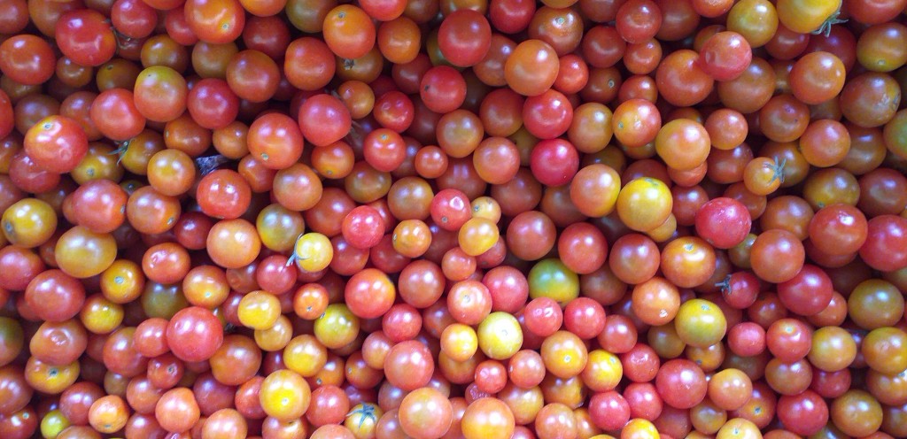Tomate cherry