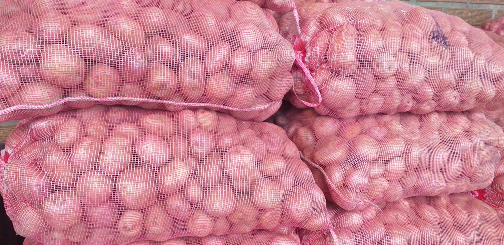 Papa pastusa/50kg