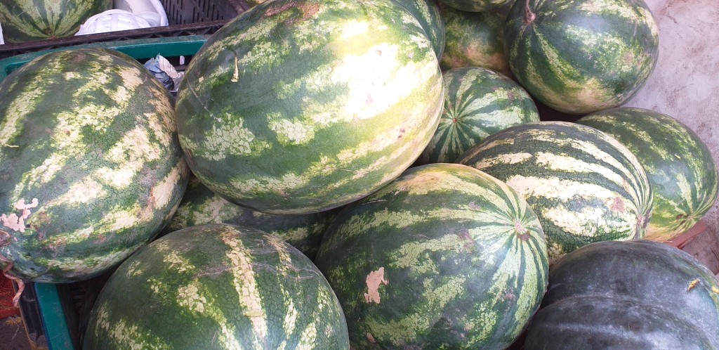Sandia