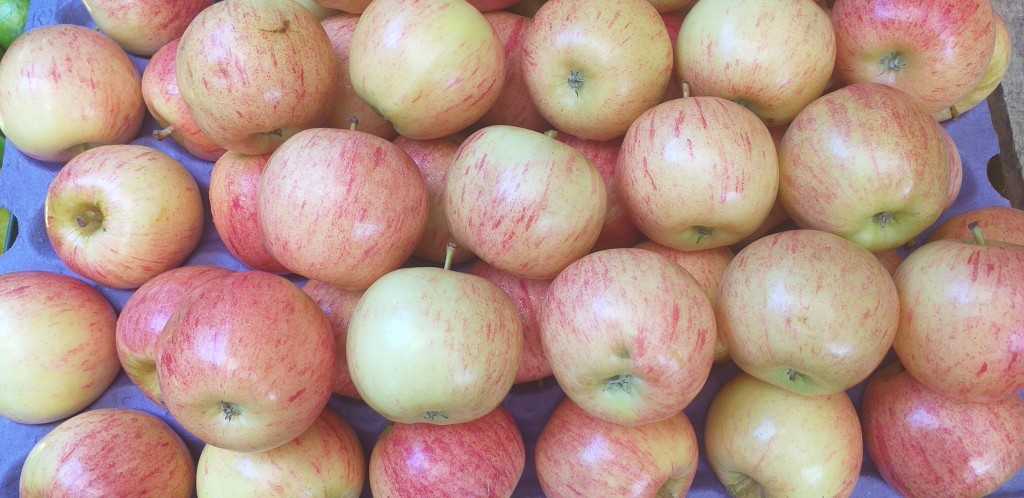 Manzana roja delgada