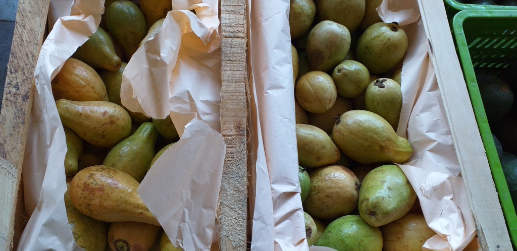 Guayaba pera/10kg