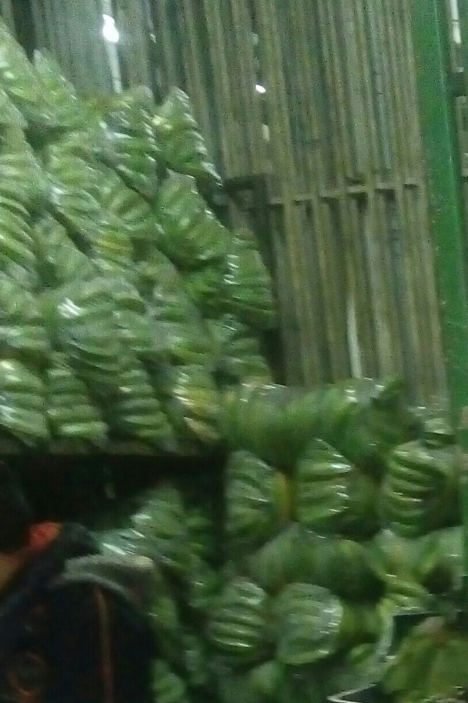 Platanos