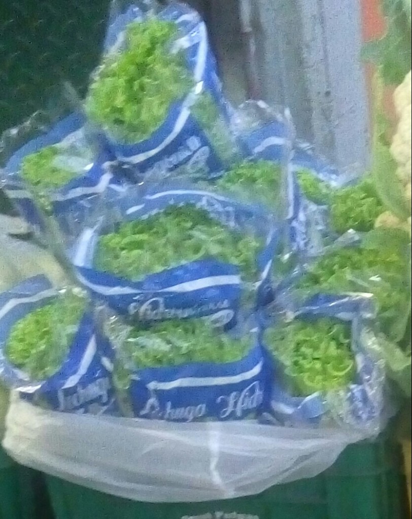 Lechuga crespa