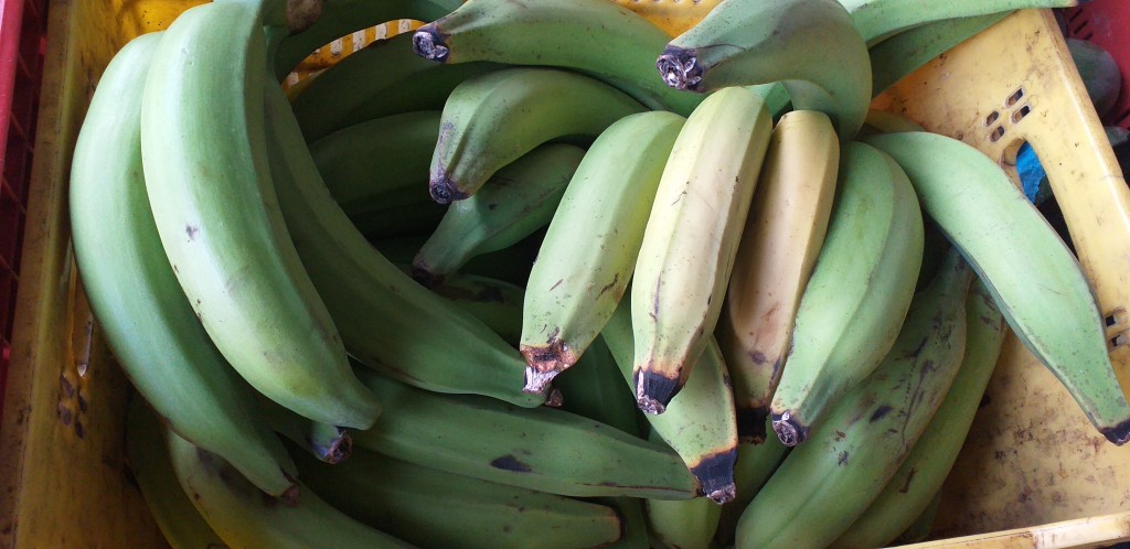 Platano verde harton