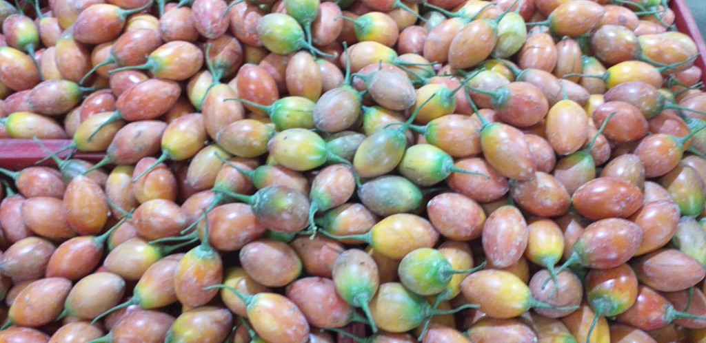 Tomate de arbol