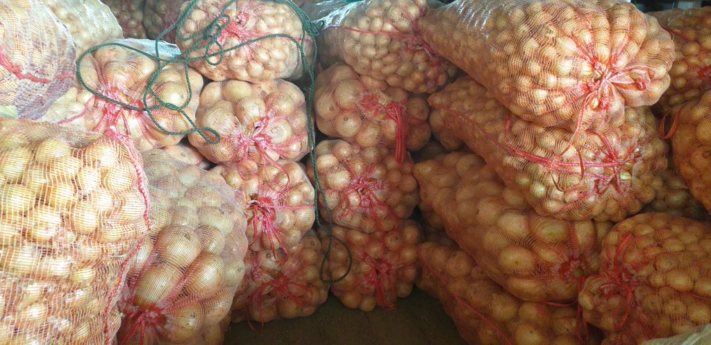 Cebolla blanca gruesa/50kg