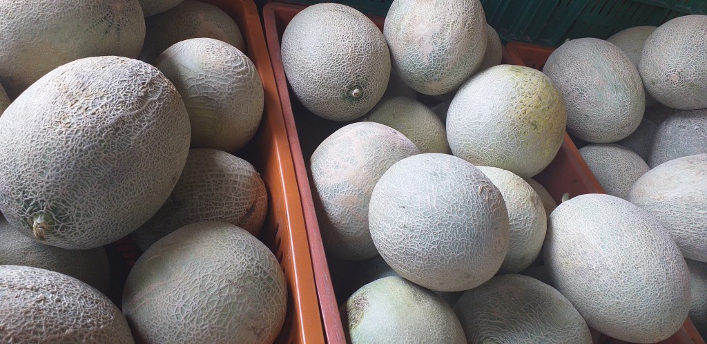 Melon