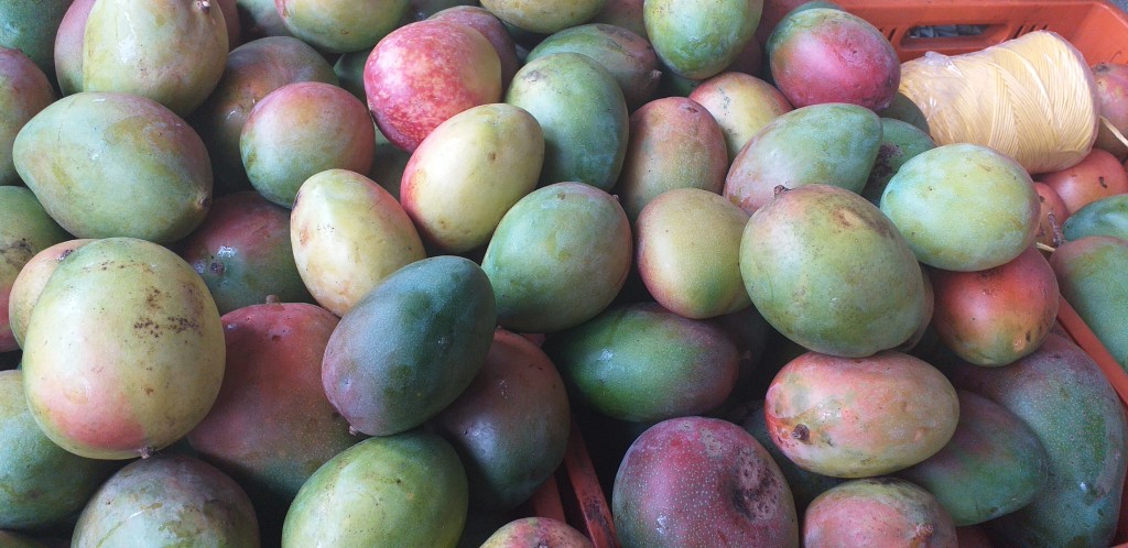Mango farchi