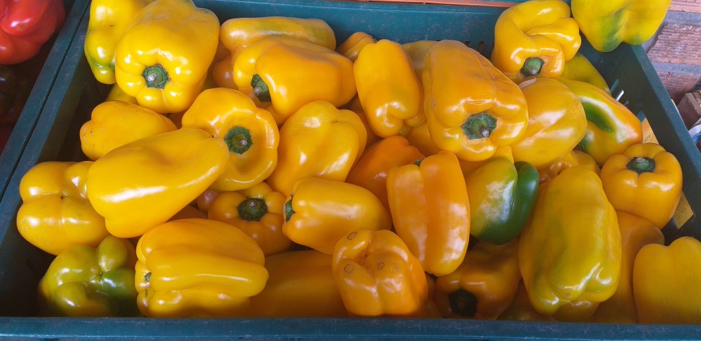 Pimenton amarillo