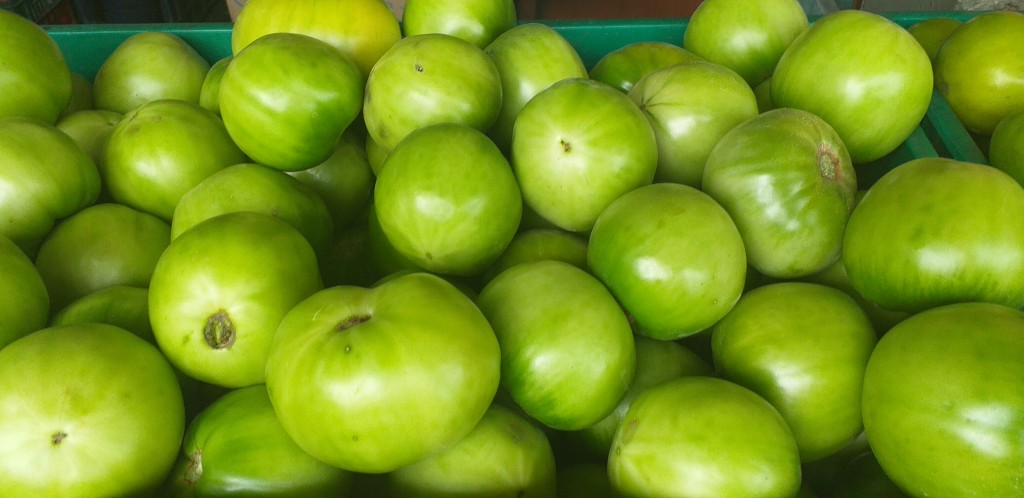 Tomate riñon