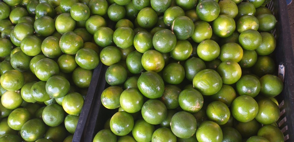 Limon tahiti